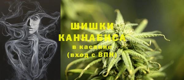 трава Верея