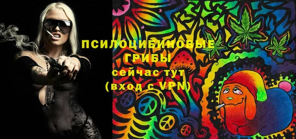 гашик Верхний Тагил