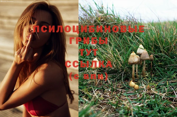 гашик Верхний Тагил