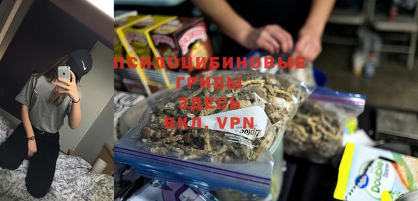 гашик Верхний Тагил