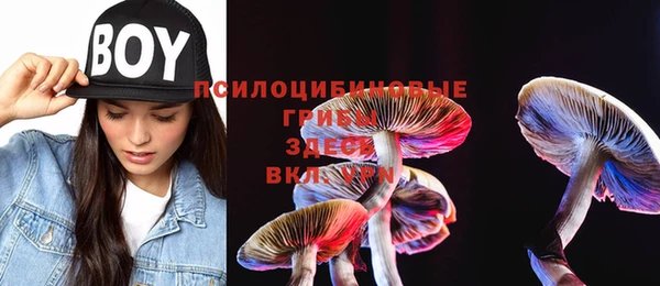 шишки Бронницы