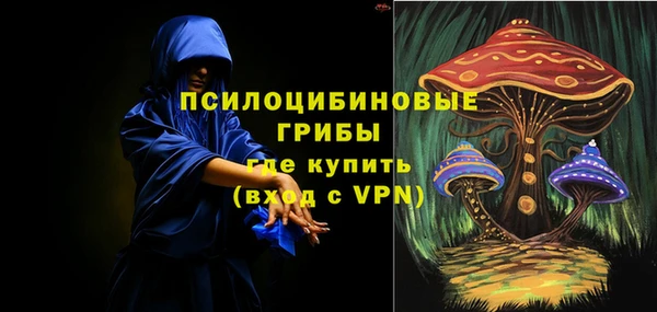 трава Верея
